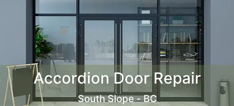  Accordion Door Repair South Slope - BC