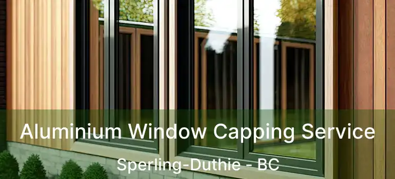  Aluminium Window Capping Service Sperling-Duthie - BC