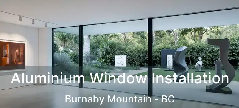 Aluminium Window Installation Burnaby Mountain - BC