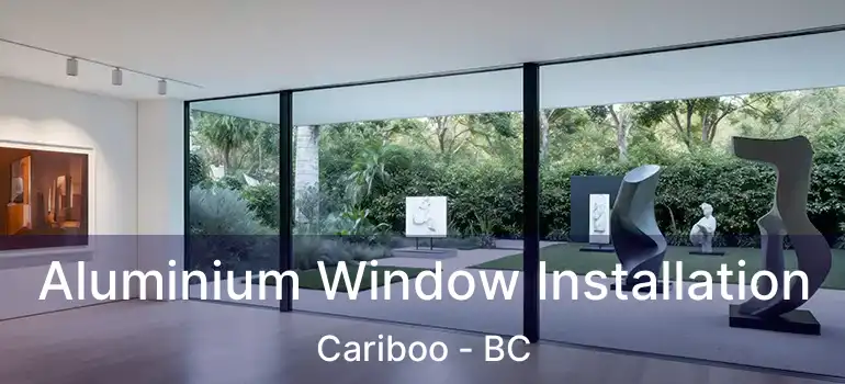  Aluminium Window Installation Cariboo - BC