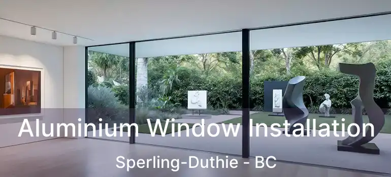  Aluminium Window Installation Sperling-Duthie - BC