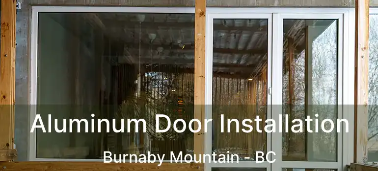  Aluminum Door Installation Burnaby Mountain - BC