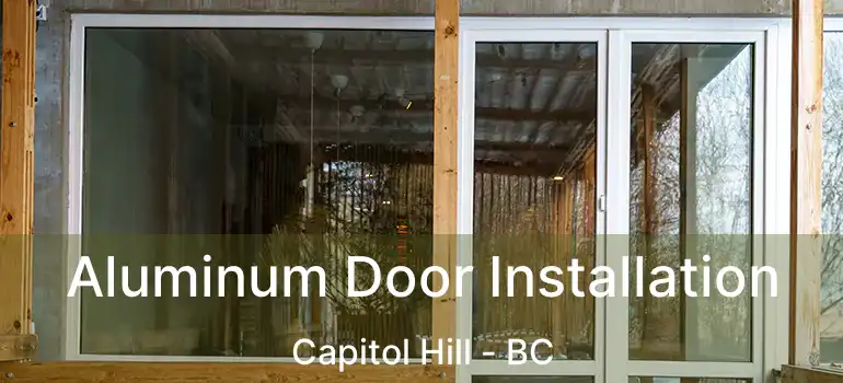  Aluminum Door Installation Capitol Hill - BC
