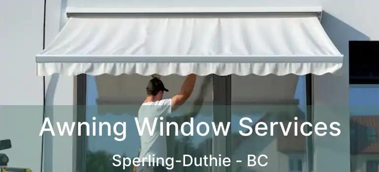  Awning Window Services Sperling-Duthie - BC