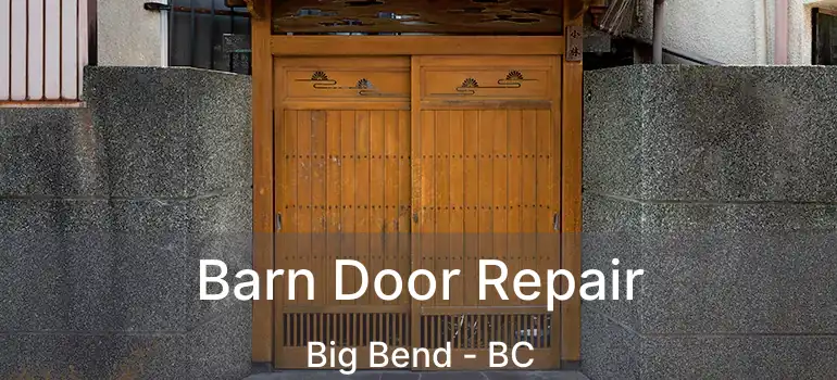  Barn Door Repair Big Bend - BC