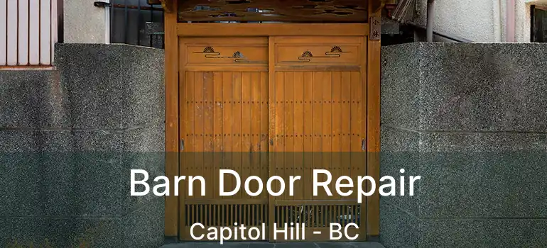  Barn Door Repair Capitol Hill - BC