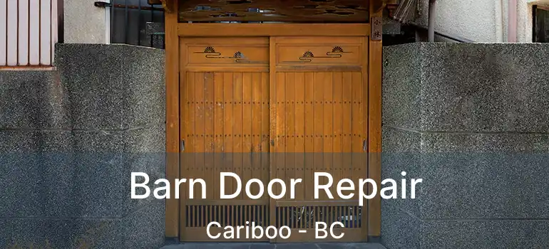  Barn Door Repair Cariboo - BC