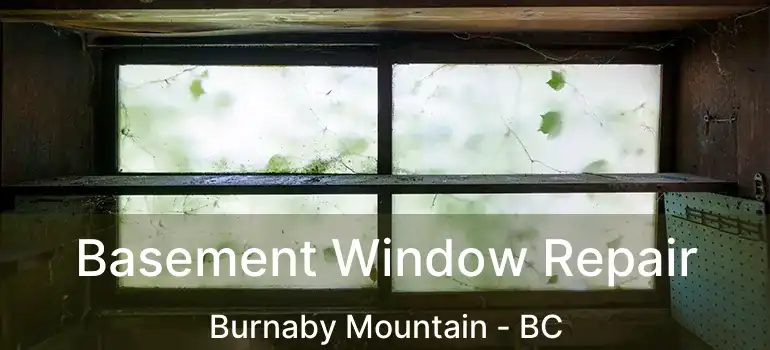  Basement Window Repair Burnaby Mountain - BC