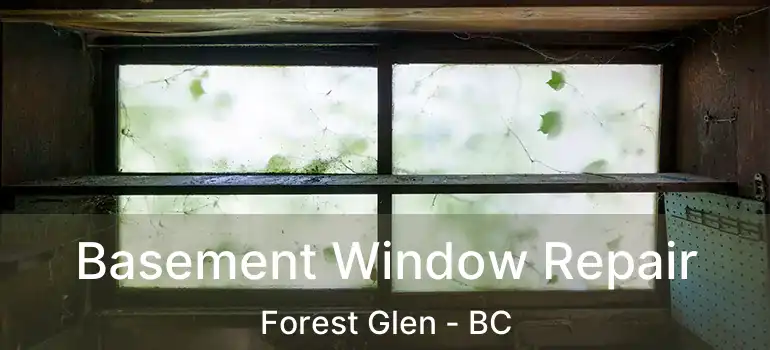  Basement Window Repair Forest Glen - BC