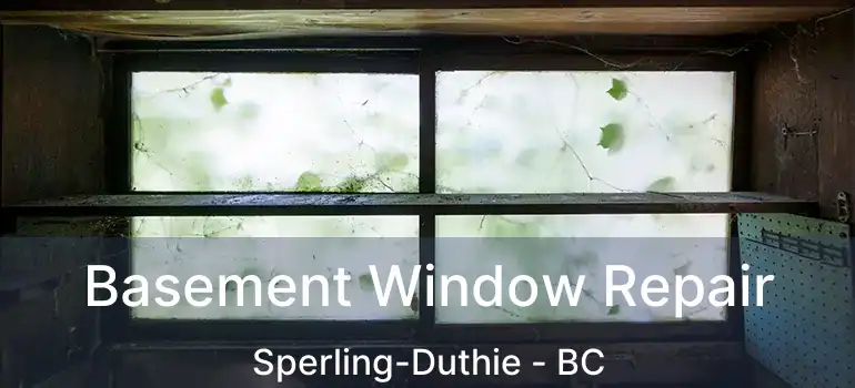  Basement Window Repair Sperling-Duthie - BC