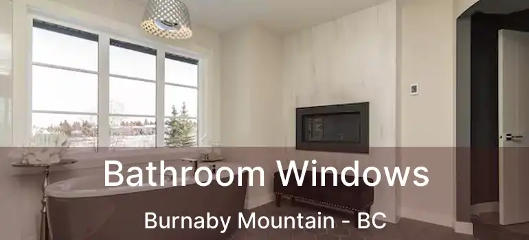  Bathroom Windows Burnaby Mountain - BC