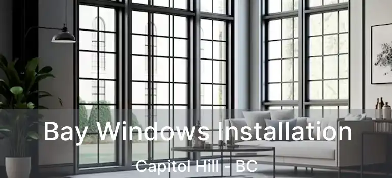  Bay Windows Installation Capitol Hill - BC