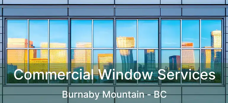  Commercial Window Services Burnaby Mountain - BC