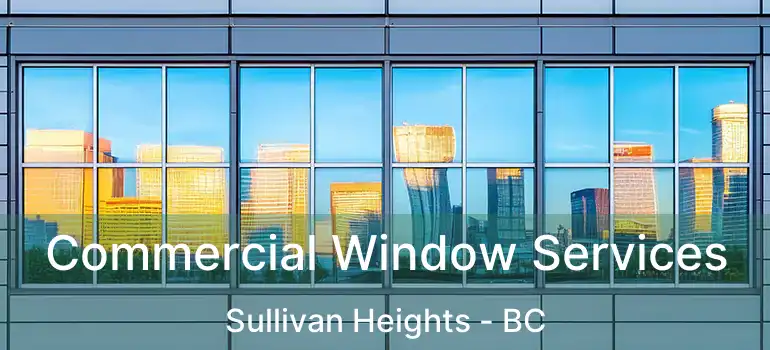  Commercial Window Services Sullivan Heights - BC