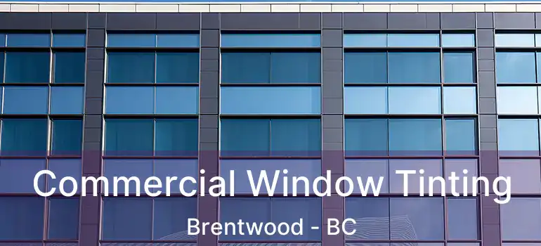  Commercial Window Tinting Brentwood - BC