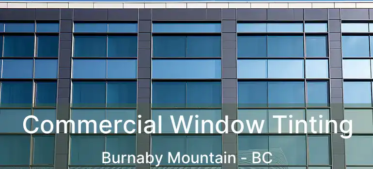  Commercial Window Tinting Burnaby Mountain - BC