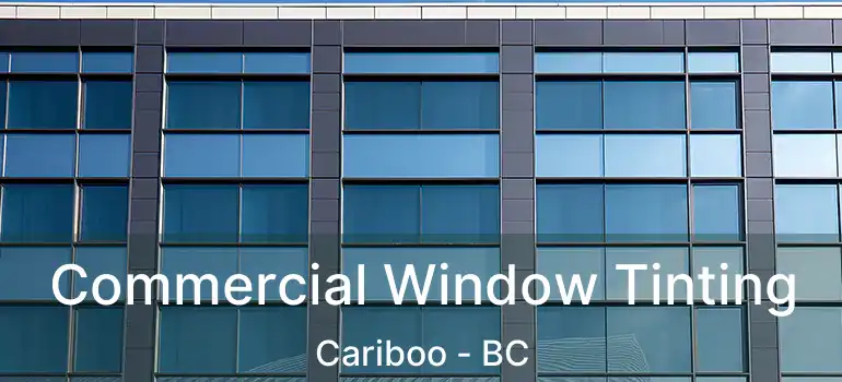 Commercial Window Tinting Cariboo - BC