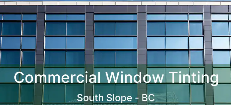  Commercial Window Tinting South Slope - BC