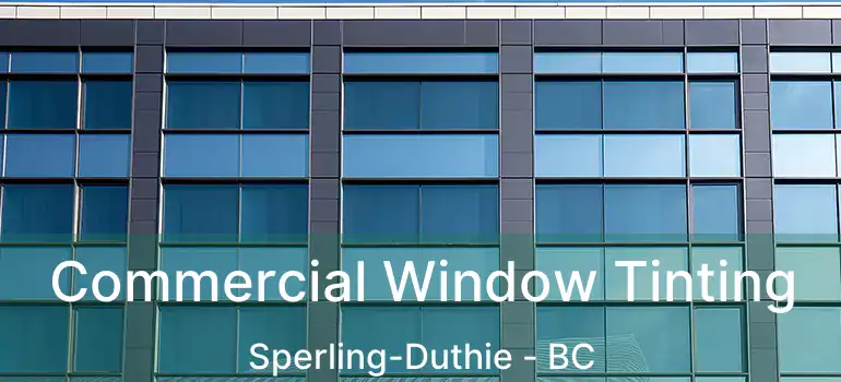  Commercial Window Tinting Sperling-Duthie - BC