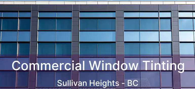 Commercial Window Tinting Sullivan Heights - BC