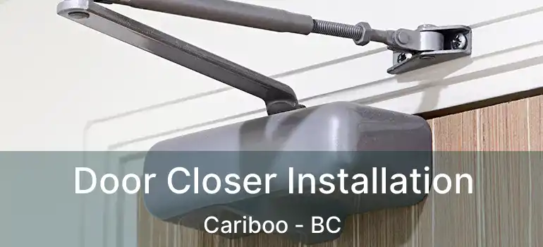  Door Closer Installation Cariboo - BC