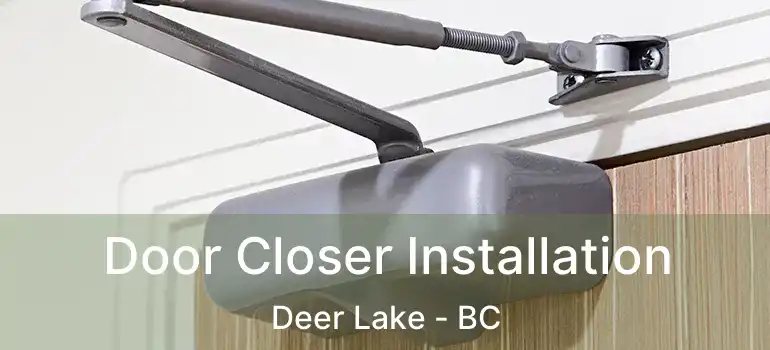  Door Closer Installation Deer Lake - BC