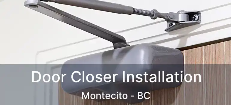  Door Closer Installation Montecito - BC