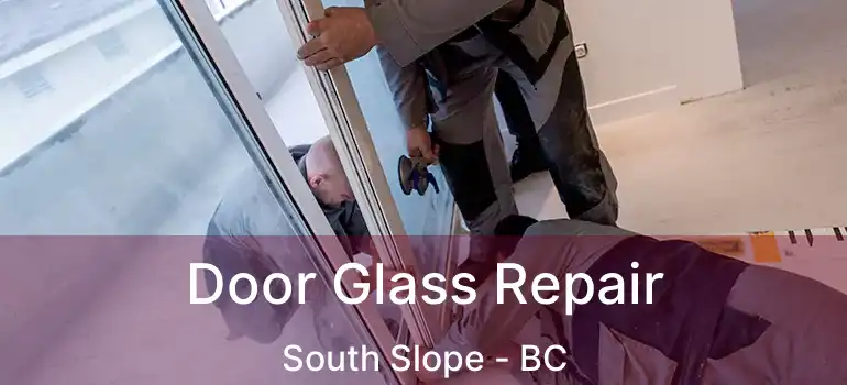  Door Glass Repair South Slope - BC