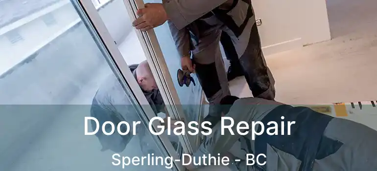  Door Glass Repair Sperling-Duthie - BC