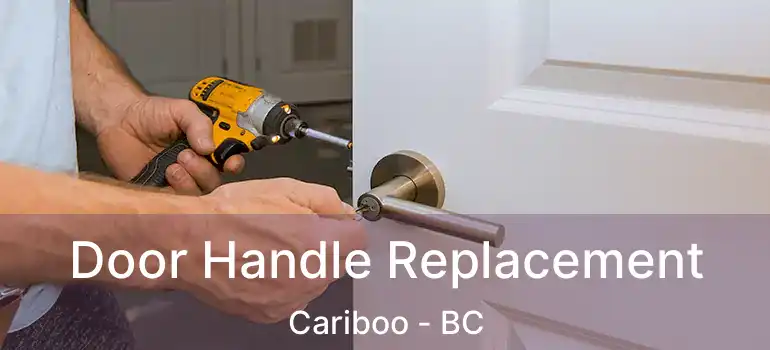  Door Handle Replacement Cariboo - BC