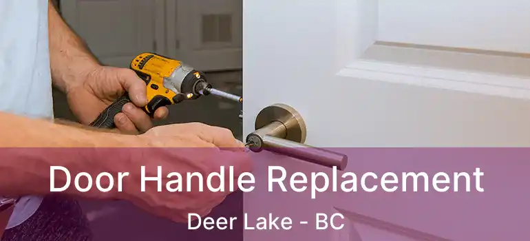  Door Handle Replacement Deer Lake - BC