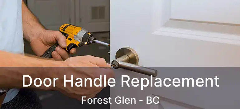  Door Handle Replacement Forest Glen - BC
