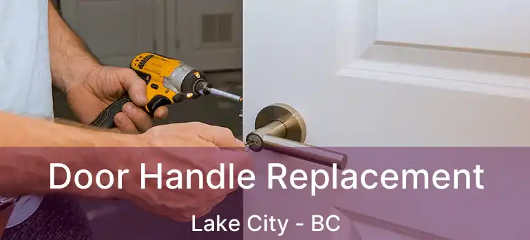  Door Handle Replacement Lake City - BC