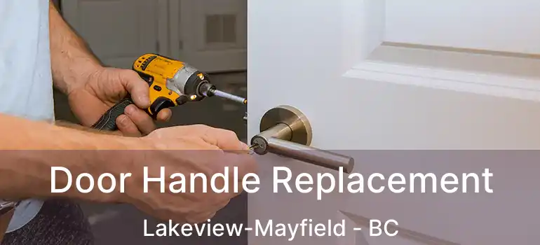  Door Handle Replacement Lakeview-Mayfield - BC