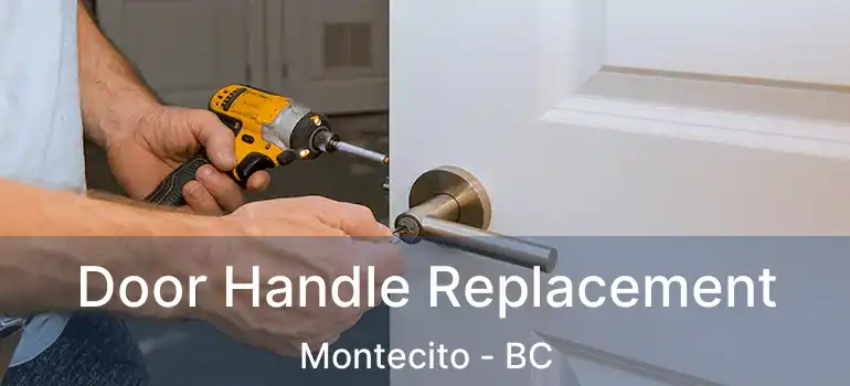  Door Handle Replacement Montecito - BC