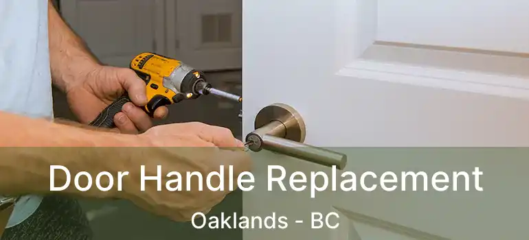  Door Handle Replacement Oaklands - BC