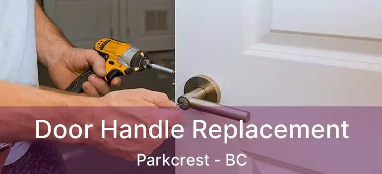  Door Handle Replacement Parkcrest - BC