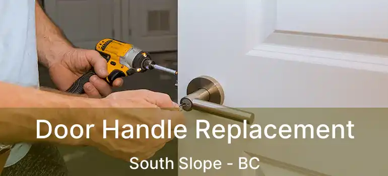  Door Handle Replacement South Slope - BC