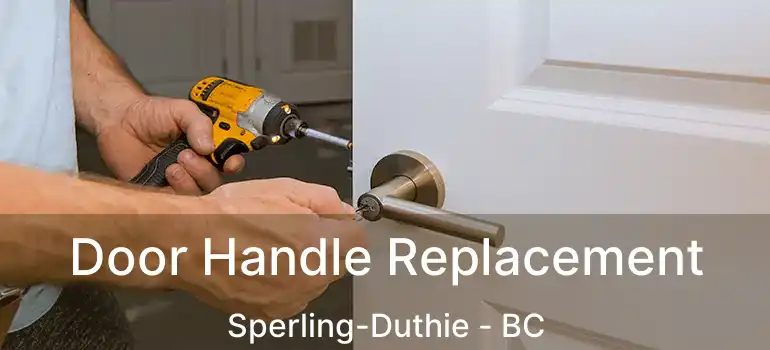  Door Handle Replacement Sperling-Duthie - BC