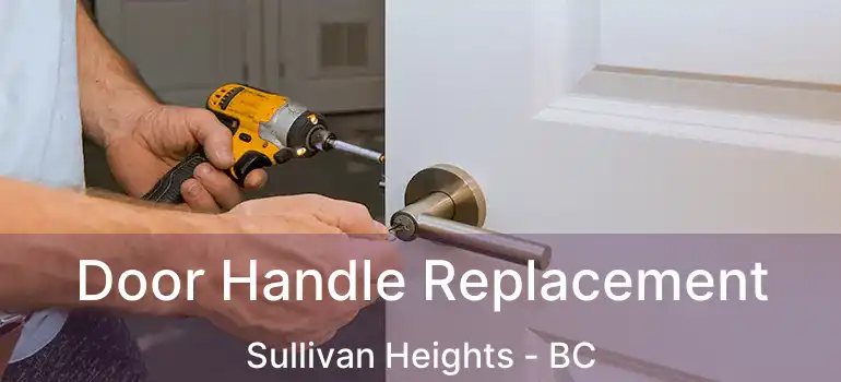  Door Handle Replacement Sullivan Heights - BC