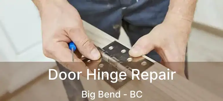  Door Hinge Repair Big Bend - BC