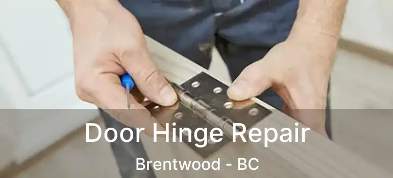  Door Hinge Repair Brentwood - BC