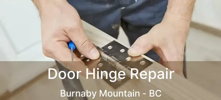  Door Hinge Repair Burnaby Mountain - BC