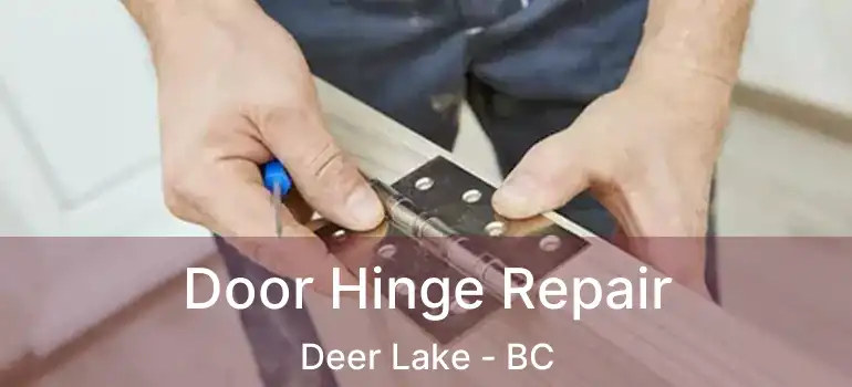  Door Hinge Repair Deer Lake - BC
