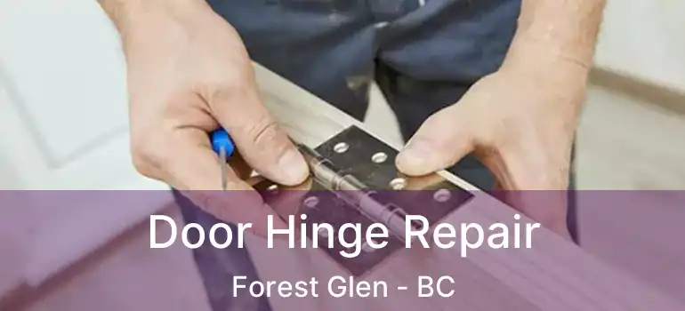  Door Hinge Repair Forest Glen - BC
