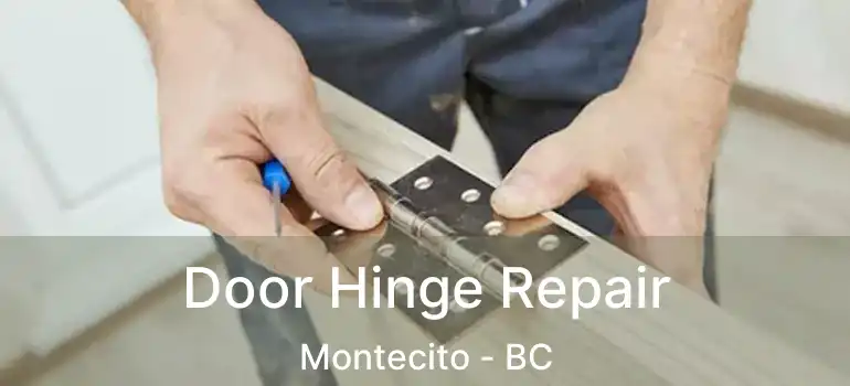  Door Hinge Repair Montecito - BC