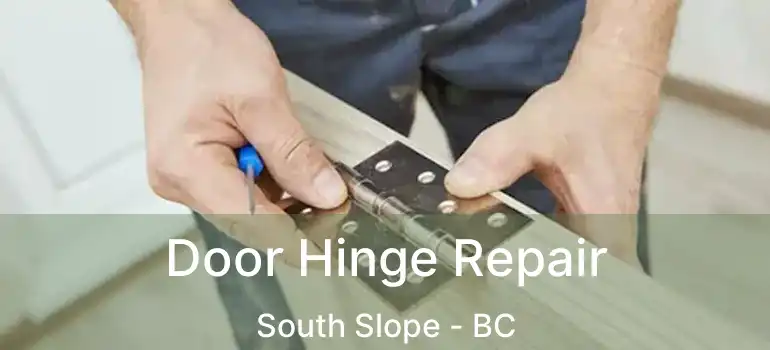 Door Hinge Repair South Slope - BC