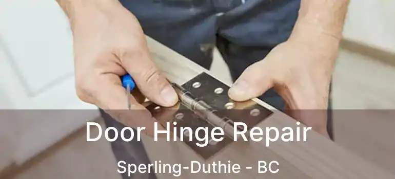  Door Hinge Repair Sperling-Duthie - BC