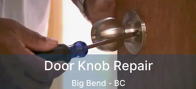 Door Knob Repair Big Bend - BC