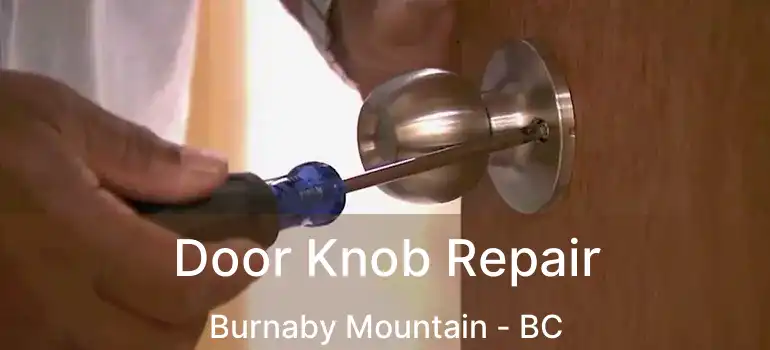  Door Knob Repair Burnaby Mountain - BC